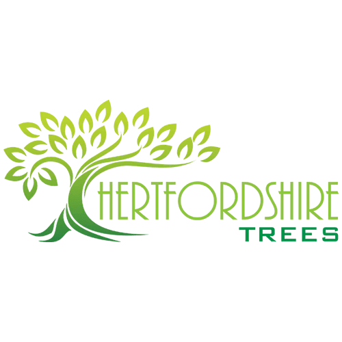 Hertfordshire Trees